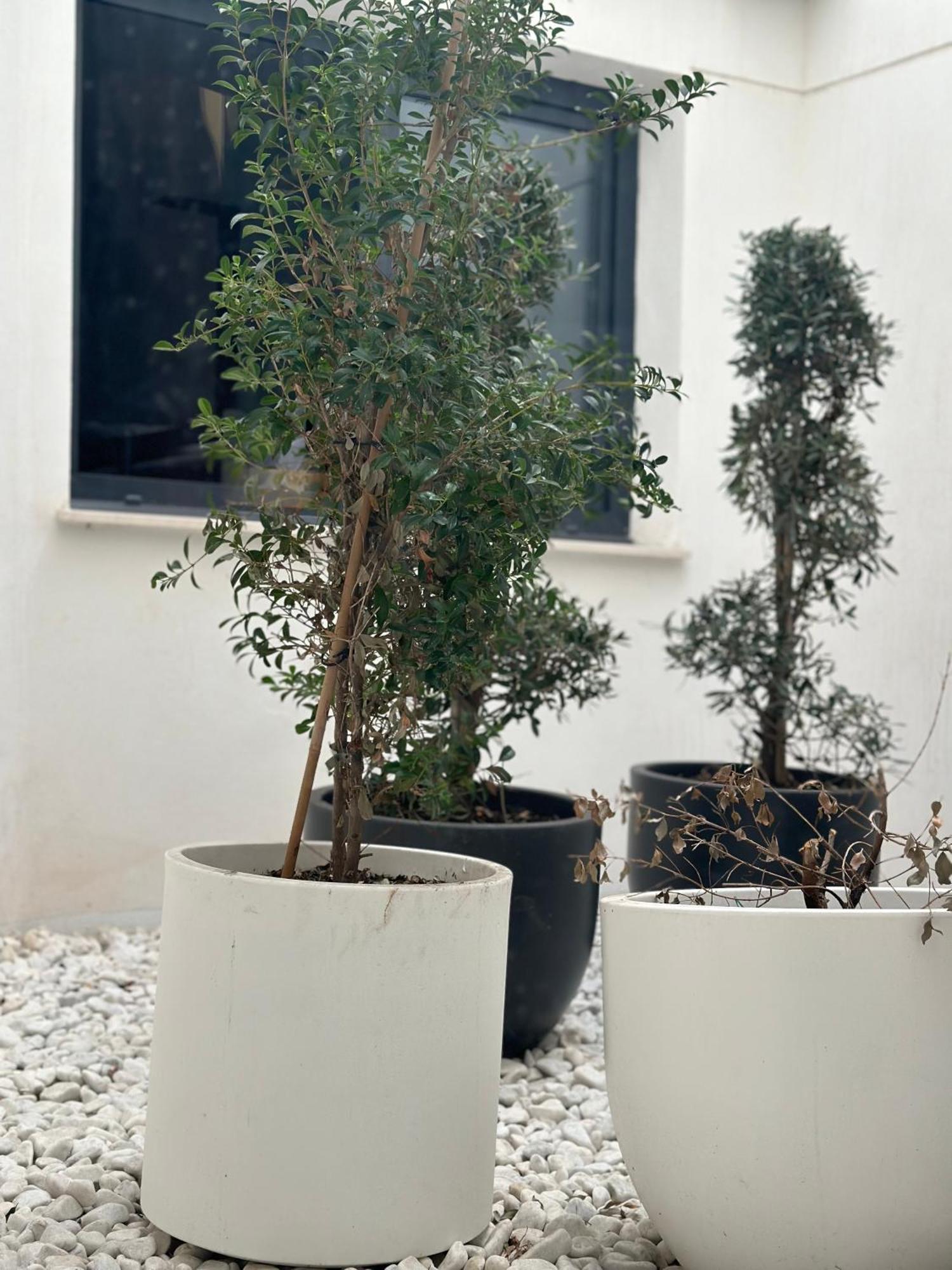 Hostel Alicante A-Cero Living Exterior photo
