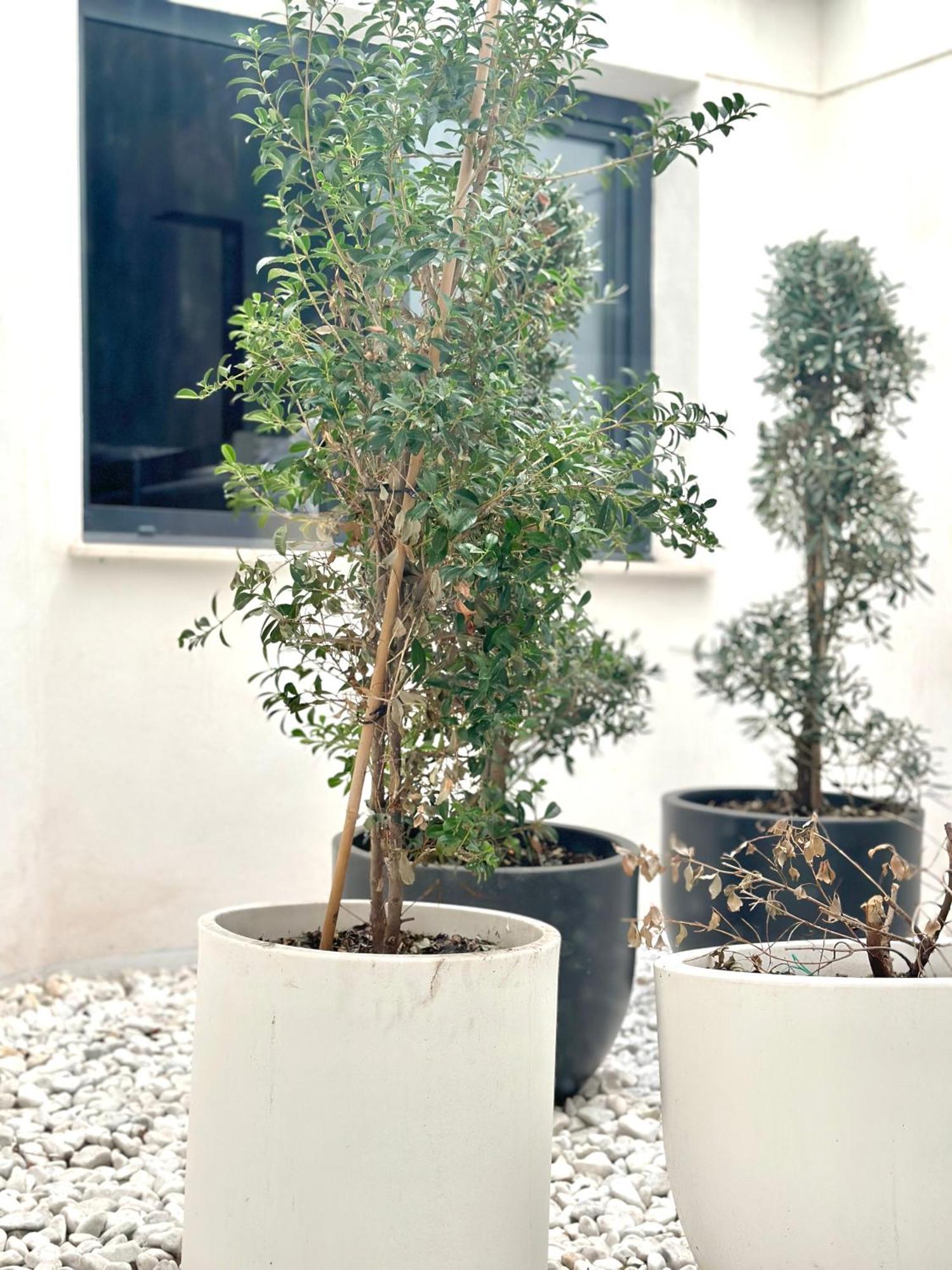 Hostel Alicante A-Cero Living Exterior photo